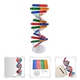 thumbnail image 3 of 1 Set Human Genes Model DNA Model Scientific Toys Children Assembly Build Toy, 3 of 5