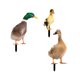 thumbnail image 1 of Decoración de aves de corral Tarjeta para patio Tarjeta decorativa Decoración para patio Acrílico Impresión a doble cara Tarjeta para fiesta Decoración de animales Decoración para jardín, 1 of 8