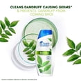 thumbnail image 2 of Head & Shoulders Neem Anti Dandruff Shampoo - 340 ML, 2 of 5