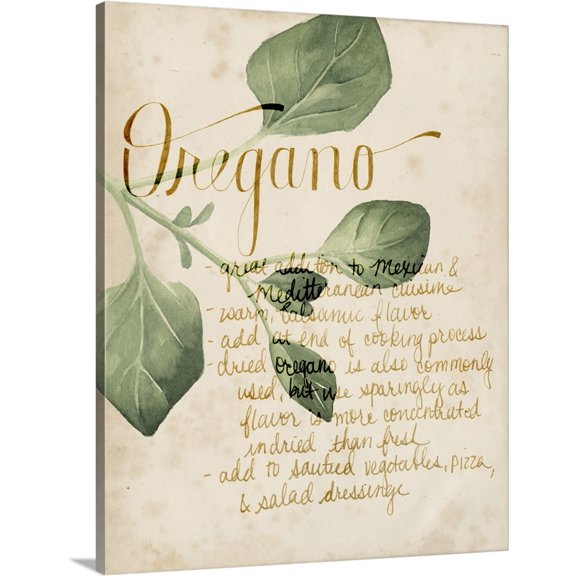 Great BIG Canvas | "Herb Study III" Canvas Wall Art - 16x20