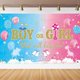 thumbnail image 1 of Gender Reveal Backdrop Gender Reveal Party Supplies Boy or Girl Gender Reveal Backdrop Blue Pink What Will Baby Be Banner Sign Baby Shower Backdrop, 1 of 4