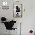 thumbnail image 5 of Graceful Horse Canvas Black and White Art Prints by Notoriart, Gold Frame, 16" x 24", 5 of 7