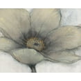 thumbnail image 2 of OToole, Tim 24x20 Black Ornate Wood Framed with Double Matting Museum Art Print Titled - Single Cream Bloom II, 2 of 4