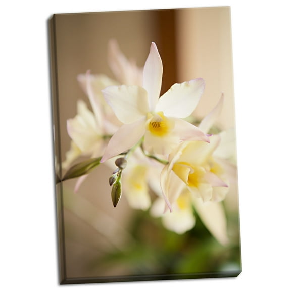 Gango Home Decor Contemporary White and Yellow Bursting Flower by Karyn Millet (Ready to Hang); One 24x36in Hand-Stretched Canvas