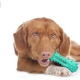thumbnail image 2 of Cepillo de Dientes Cerisurio Verde para Perros Pequeños, 2 of 7