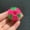 Green, variant on Fanshiluo 6Pcs Pet Hair Remover For Laundry, Lint Catcher For Washing Machine, Pet Hair Catcher For Laundry, Reusable Household Pet Hair Filter Catcher Remover Ball