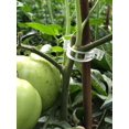 thumbnail image 5 of Clips para plantas, plástico, abrazaderas, clips para colgar, clips para vid, clips para vid, clips para plantas que soportan tomates, pimientos, plantas de vid y flores de desarrollo vertical, 5 of 5