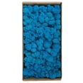 thumbnail image 1 of Amdohai Mousse Préservée Décoration Murale Vraie Mousse Préservée Aucun Entretien Requis, 1 of 7