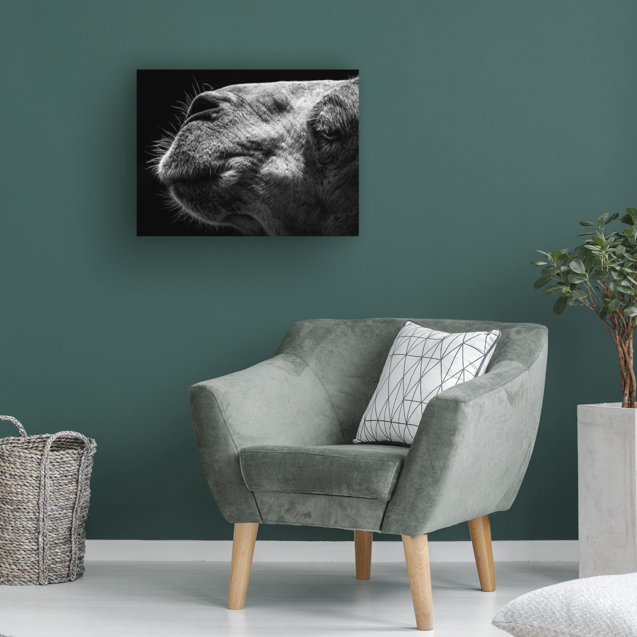 Trademark Fine Art Sultan Camel Canvas Wall Art