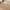 Beige, variant on COSY HOMEER Indoor Doormat 20"x32", Soft and Absorbent Door Mat Non-Slip, Dirt Trapper Mat Door Mats Low Profile Floor Mat Machine Washable for Entrance, Inside, Kitchen, Front Back Door, Grey