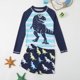 thumbnail image 2 of Traje de baño para niños Rash Guard de manga larga para niños pequeños Dinosaurio de dos piezas, 2 of 7
