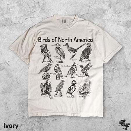 Birds North America Vintage Graphic Nature Wildlife T-shirt