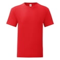 thumbnail image 1 of Fruit Of The Loom Mens Iconic T-Shirt, 1 of 3