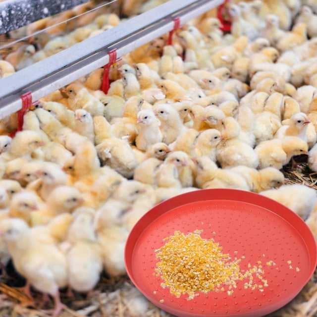 OUNONA 3Ud Para Gallinas Y En Plástico Antienvejecimiento Con Base Antideslizante
