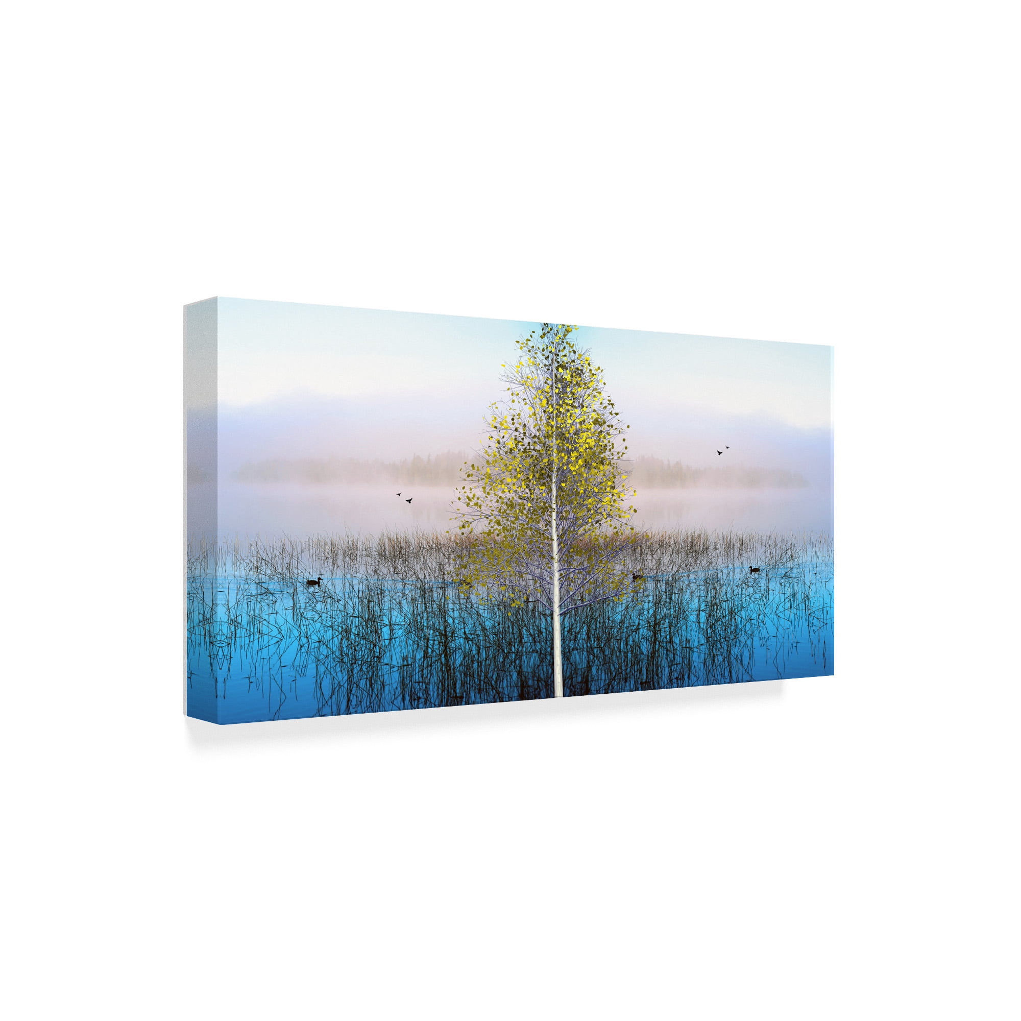 Trademark Fine Art 'Nature Collection 23' Canvas Art by Ata Alishahi
