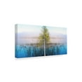thumbnail image 2 of Trademark Fine Art 'Nature Collection 23' Canvas Art by Ata Alishahi, 2 of 3