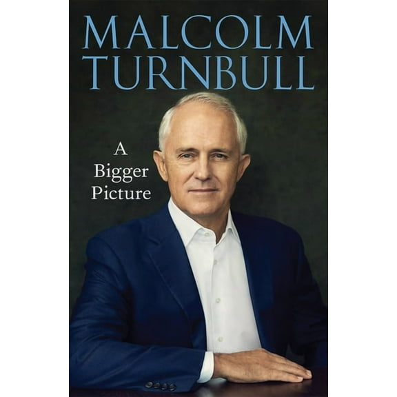 A Bigger Picture (Hardcover)