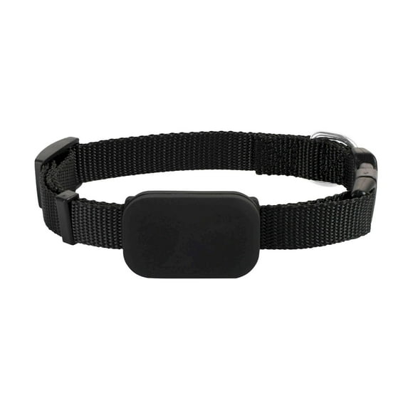 Collier pour Chat Aide à Localiser Votre Chat Sans Frais Mensuels pour (Compatible avec Ios/Android) Collier pour Chat