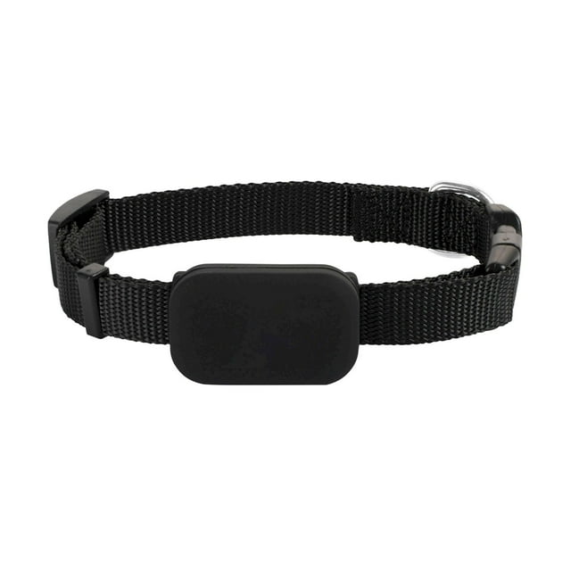 Collier pour Chat Aide à Localiser Votre Chat Sans Frais Mensuels pour (Compatible avec Ios/Android) Collier pour Chat