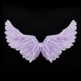 thumbnail image 6 of Cjfdfy Feather Wings, Fairy Wings, Stage Show Adult Halloween Costume Angel Wings with Crown and Wand Princess Party Cosplay, 6 of 7