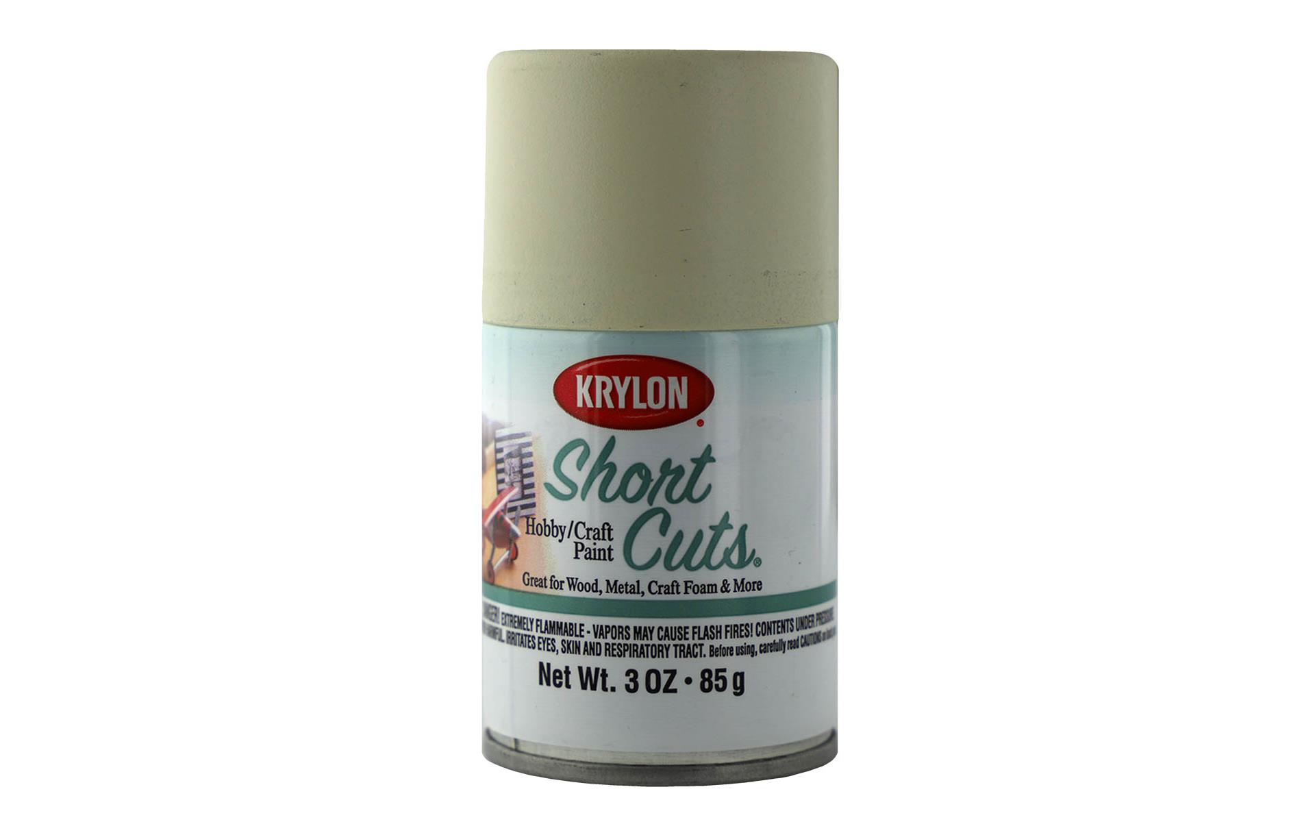 SCS110 KRYLON SHORTCUTS AEROSOL PAINT 3OZ SATIN WHITECFN