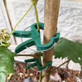 thumbnail image 3 of 40pcs Plant Support Clips Stabilize Your Plants For Gardens, 3 of 5