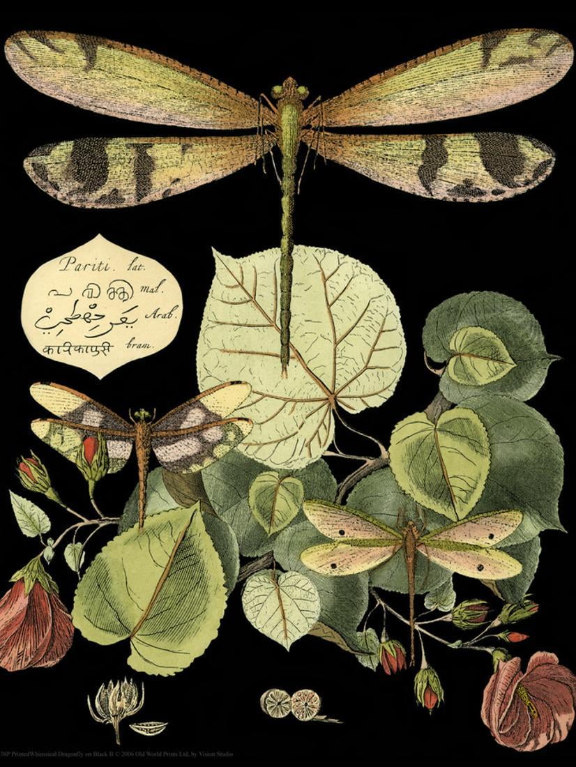 Whimsical Dragonfly on Black II Vintage Insect Botanical