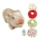 thumbnail image 2 of Muñeco de cerdito Reborn, Mini cerdito de juguete, cerdo de silicona realista, Mini cerdito de silicona para juegos de rol, accesorios de fotografía Estilo A, 2 of 8