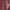 BURGUNDY, variant on Time and Tru Women's Tulip Tote, Black