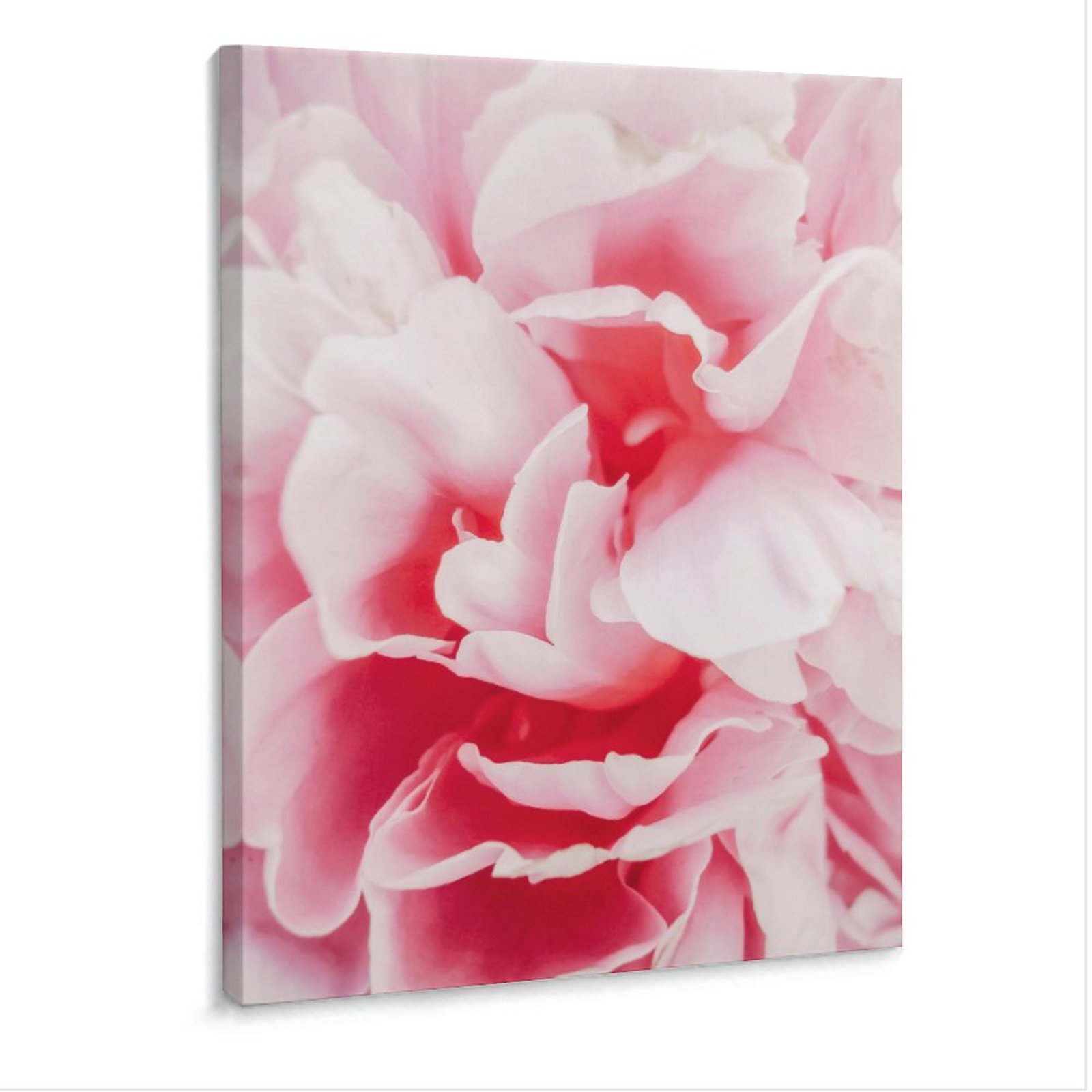 1 Panel Set Unframed Canvas Wall Art, Beautiful Macro Flower Gallery