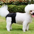 thumbnail image 4 of Joernso Pet Dog Breathable Menstrual Pants Physiological Sanitary Washable Safe Diaper, 4 of 8