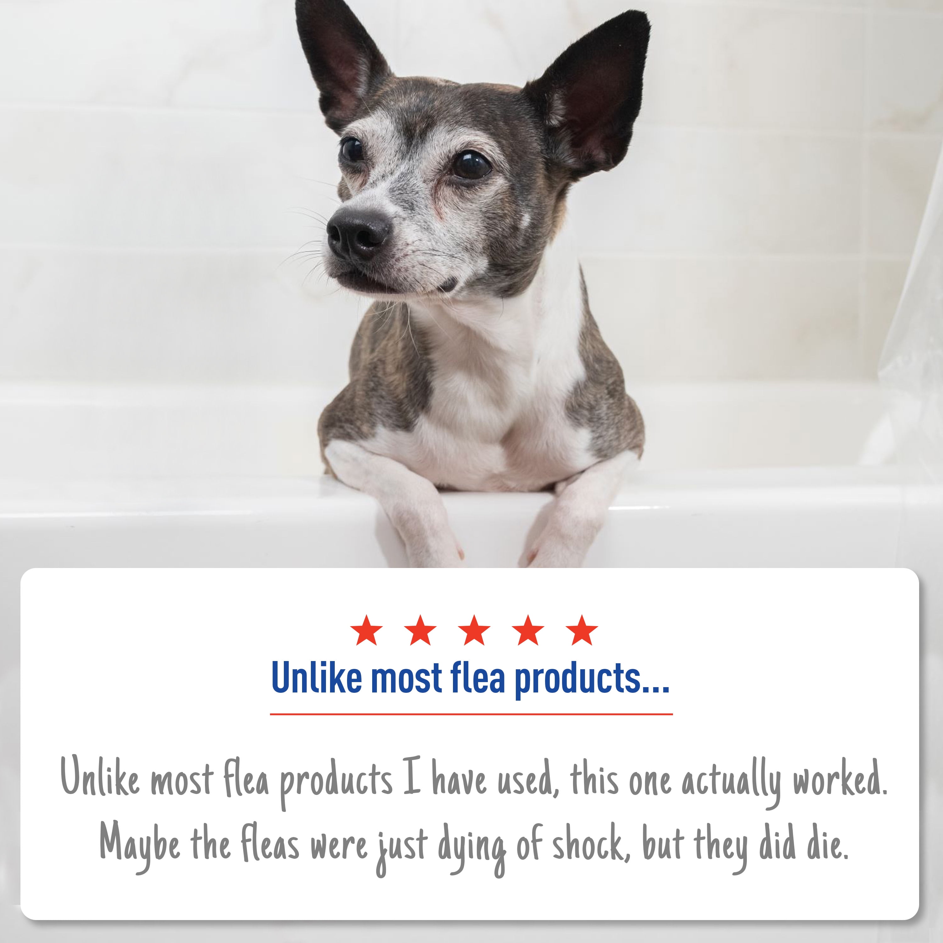 flea and tick dip for dogs walmart