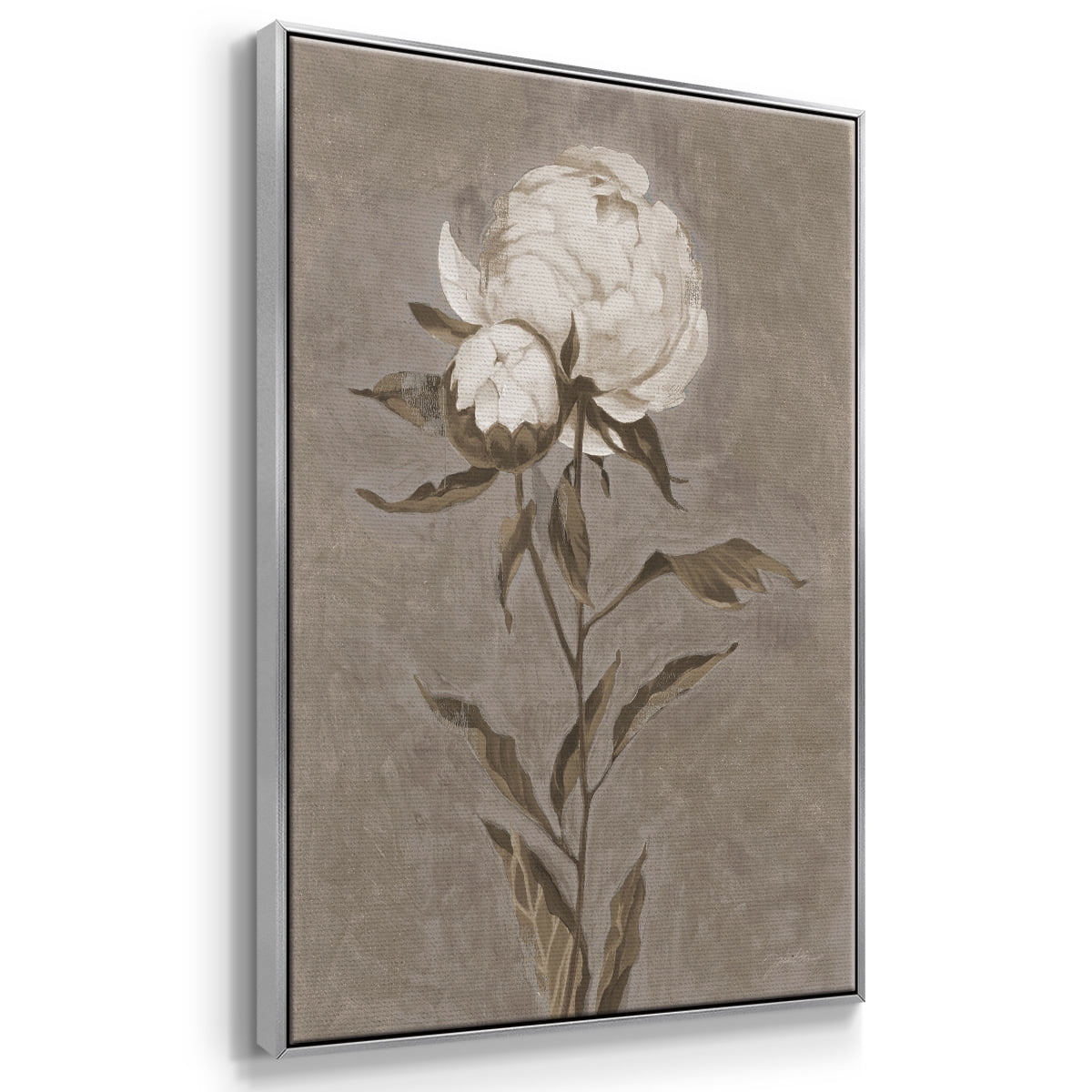 Pretty as a Peony II Framed Premium Gallery Wrapped Canvas - Ready to Hang - 17 x 25 - Silver Floating Frame
