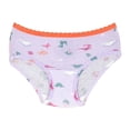 thumbnail image 3 of Pantaleta Fruit Of The Loom para Niña, Multicolor Liso y Dinosaurios 1 Paquete con 2 Piezas Talla 4-5, 3 of 4