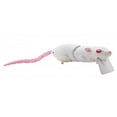 thumbnail image 2 of SPRO Rat 25, 2 of 2