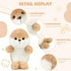 thumbnail image 5 of Peluche suave Toy ABEARCAR Seal de 20 cm, regalo para niños, 5 of 8