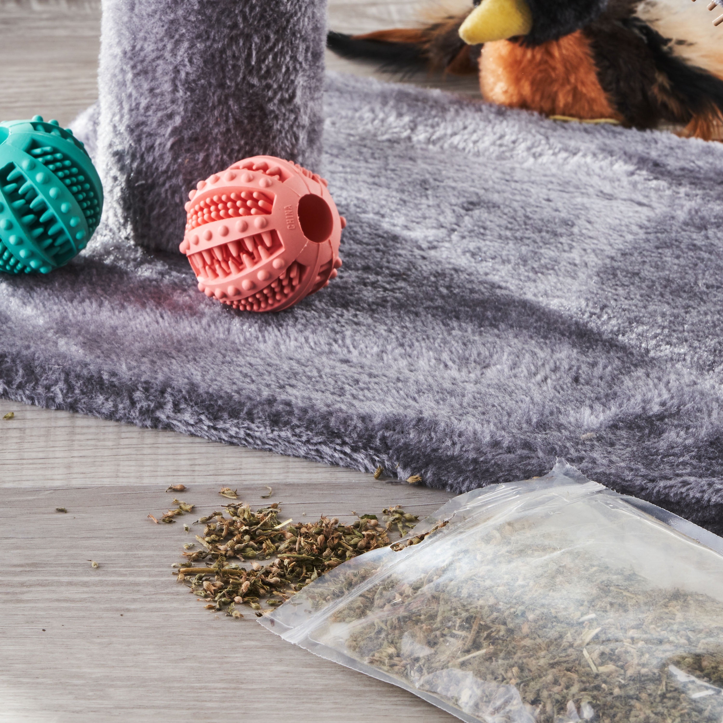 Imagen de producto 5