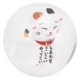 thumbnail image 4 of Gear Stick  Knob, Comfortable Hand Feeling Acrylic Gear  Head  For Car Interior Accessories, 4 of 8