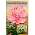 thumbnail image 2 of Vintage Apple Collection 22x32 White Modern Wood Framed Museum Art Print Titled - Pink Rose, 2 of 4