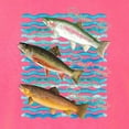 thumbnail image 2 of Wild Bobby, Classic Rainbow Brook Brown Trout Fish Trio, Fishing, Front and Back Garment-Dyed Short Sleeve Tees, Neon Pink, 2XL, 2 of 3