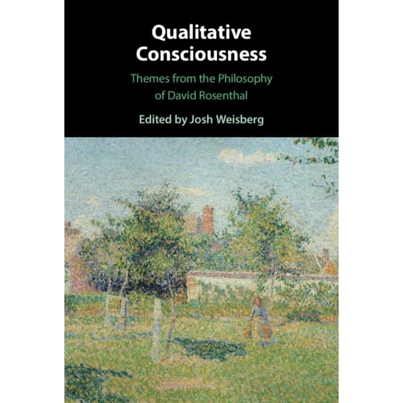Qualitative Consciousness: Themes from the Philosophy of David Rosenthal, (Hardcover)