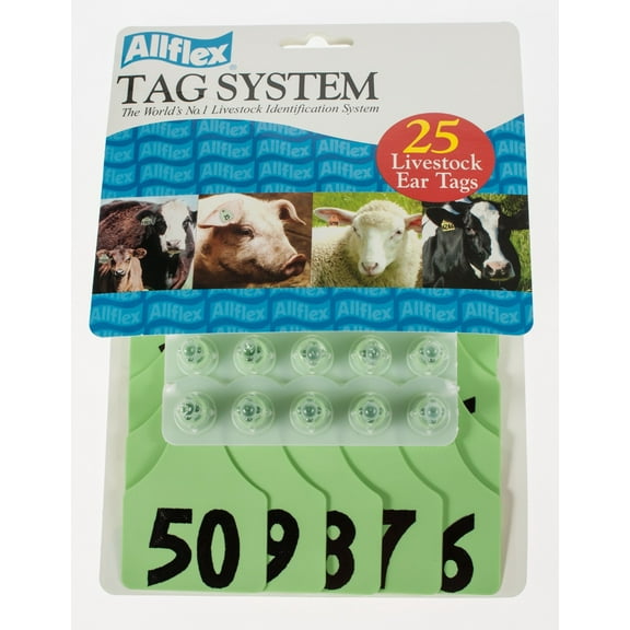Allflex Global Ear Tag, 3" x 2.25", Large, Green, [26 - 50]