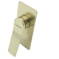 thumbnail image 1 of Monomando Para Regadera Rubinett Dorado Rectangular Acero Inoxidable, 1 of 4