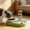 Green, variant on Pet Feeder, Two In One Non Slip Detachable Pet Plates Food Grade Easy Clean Bowls for Cats Dogs Dry Wet Food Water, Ideal for Home Travel Cat Dishes