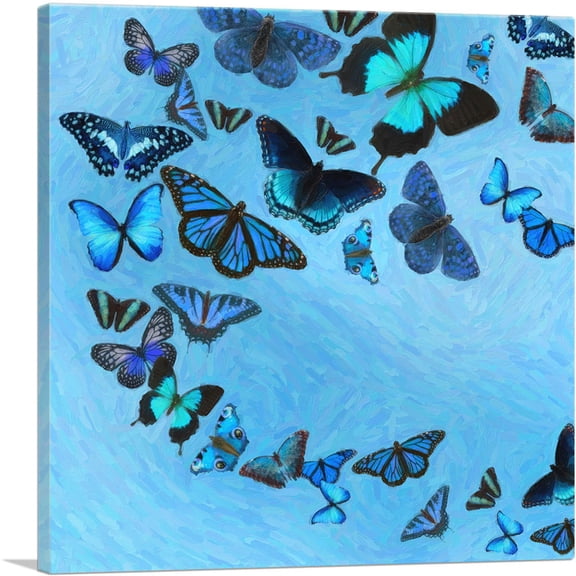 ARTCANVAS Baby Blue Black Butterfly Wings Insect Canvas Art Print - Size: 12" x 12" (1.50" Deep)