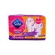 thumbnail image 1 of Pack de 10 Toalla Fem. Saba Amore Nocturna Con Alas 8 piezas Saba Nocturna con alas, 1 of 3