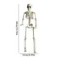 thumbnail image 3 of Halloween Skeleton Decorations Full Body Halloween Skeleton with Movable Joints for Halloween, 3 of 8