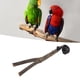 thumbnail image 1 of Soporte Para Percha De Rama De Pájaro, Molido De Garra De Percha De Madera Ajustable Interactivo Para Prevenir Resbalones Entrenamiento Con Ventosa Para Cacatúas Para Pájaros, 1 of 7