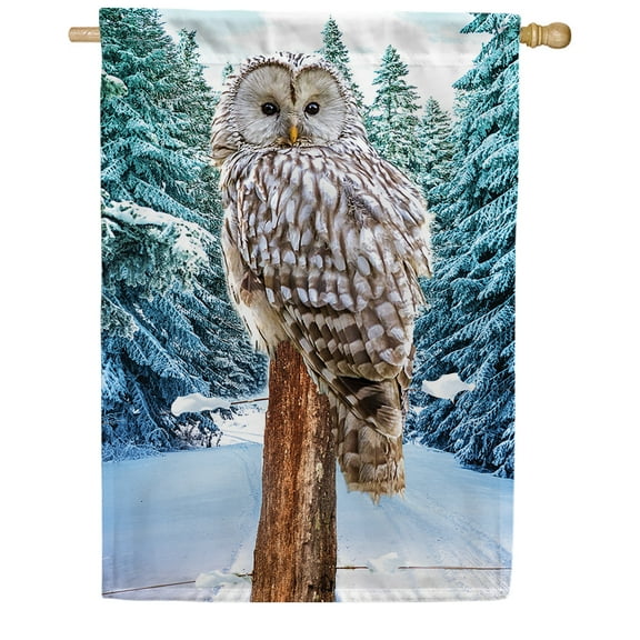 America Forever Winter Owl House Flag Double Sided Vertical 28 x 40 inches for Outdoor, Porch Happy Holiday Snow Snowfall Celebration Yard Flag Winter Forest DÃ©cor