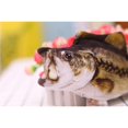 thumbnail image 2 of maskred Electric Cat Toy Simulation Plush Fish Shape Toy Doll USB Funny Interactive Pets Pillow for Cat Kitty Kitten No.4, 2 of 3